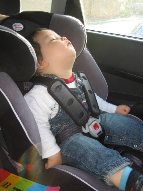 leon-asleep-in-car.jpg